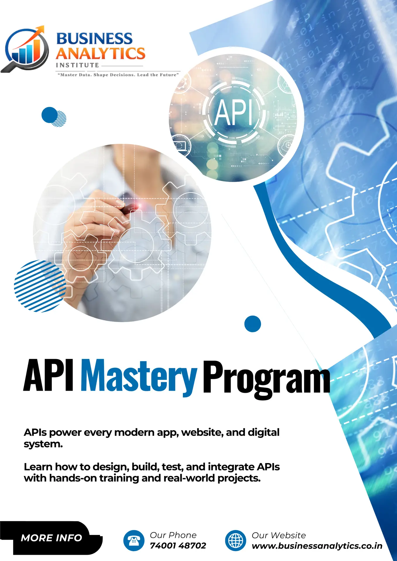 BUSINESS ANALYTICS TRAINING INSTITUE api mastery program